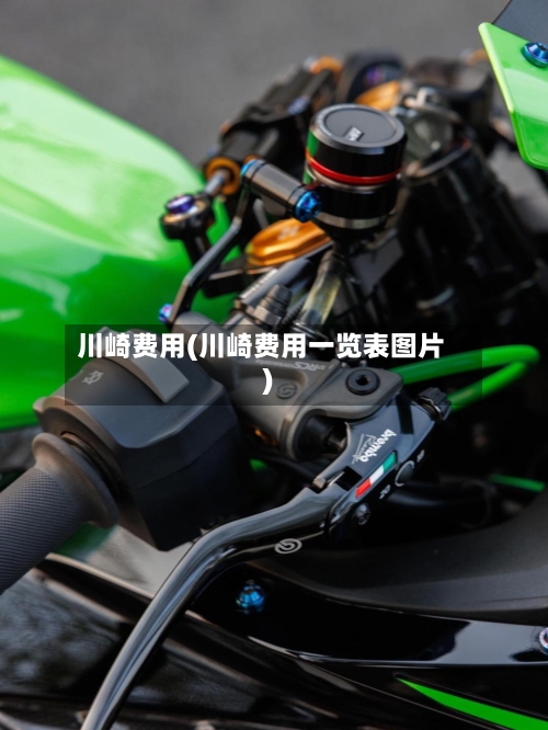川崎费用(川崎费用一览表图片)-第1张图片