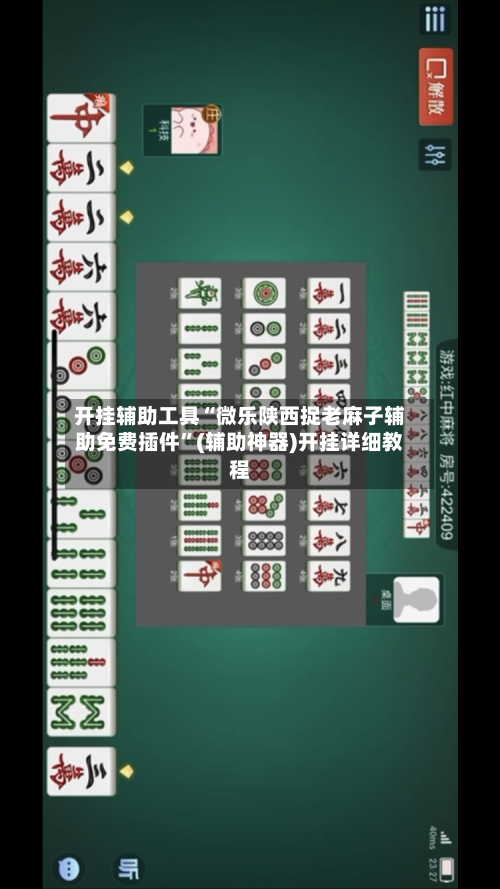 开挂辅助工具“微乐陕西捉老麻子辅助免费插件”(辅助神器)开挂详细教程