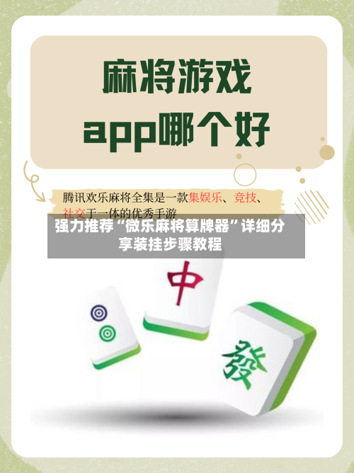强力推荐“微乐麻将算牌器”详细分享装挂步骤教程-第3张图片