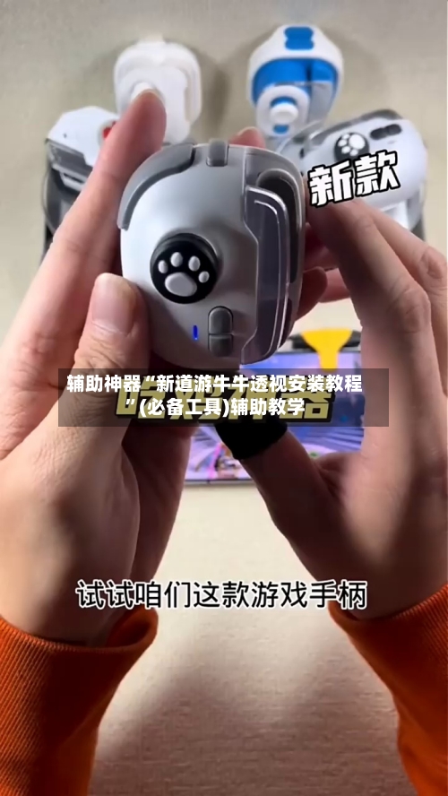 辅助神器“新道游牛牛透视安装教程”(必备工具)辅助教学