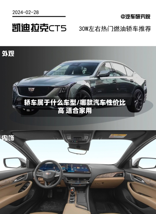 轿车属于什么车型/哪款汽车性价比高 适合家用
