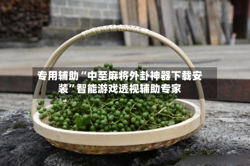 专用辅助“中至麻将外卦神器下载安装	”智能游戏透视辅助专家-第1张图片