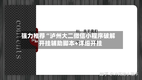 强力推荐“泸州大二微信小程序破解”开挂辅助脚本+详细开挂-第1张图片