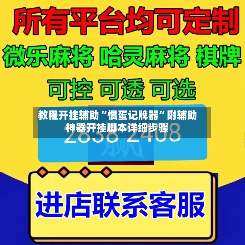 教程开挂辅助“惯蛋记牌器”附辅助神器开挂脚本详细步骤-第3张图片