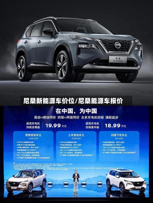 尼桑新能源车价位/尼桑能源车报价