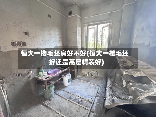 恒大一楼毛坯房好不好(恒大一楼毛坯好还是高层精装好)-第2张图片
