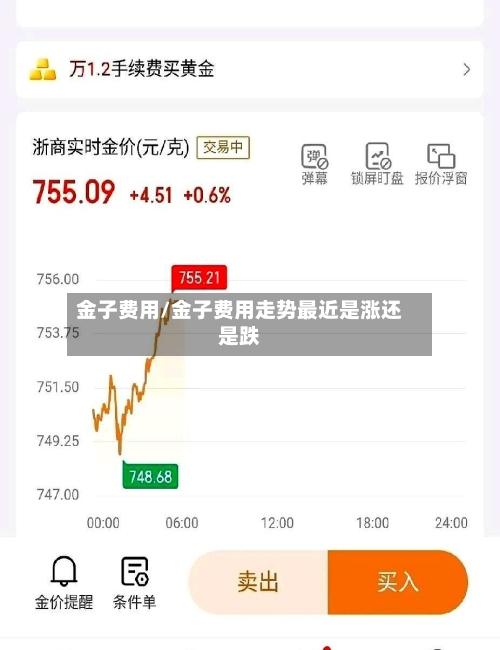 金子费用/金子费用走势最近是涨还是跌-第1张图片