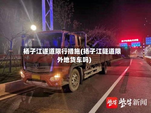 杨子江遂道限行措施(扬子江隧道限外地货车吗)-第2张图片