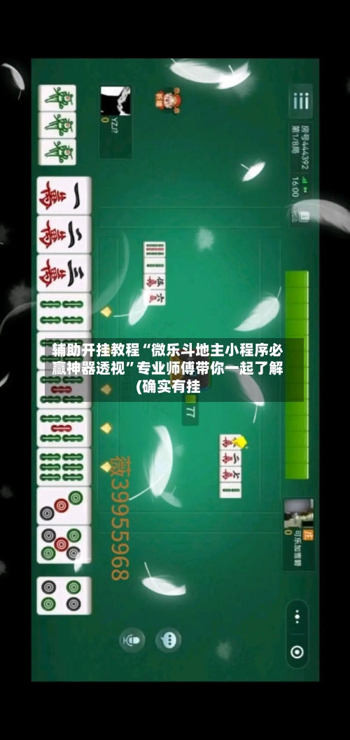 辅助开挂教程“微乐斗地主小程序必赢神器透视”专业师傅带你一起了解(确实有挂-第3张图片