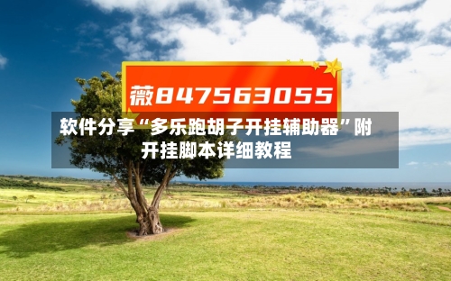 软件分享“多乐跑胡子开挂辅助器”附开挂脚本详细教程