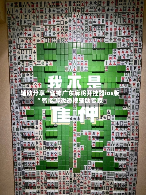 辅助分享“雀神广东麻将开挂器ios版”智能游戏透视辅助专家-第2张图片