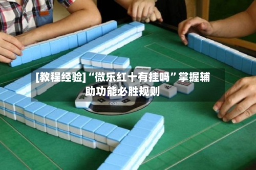 [教程经验]“微乐红十有挂吗	”掌握辅助功能必胜规则-第2张图片