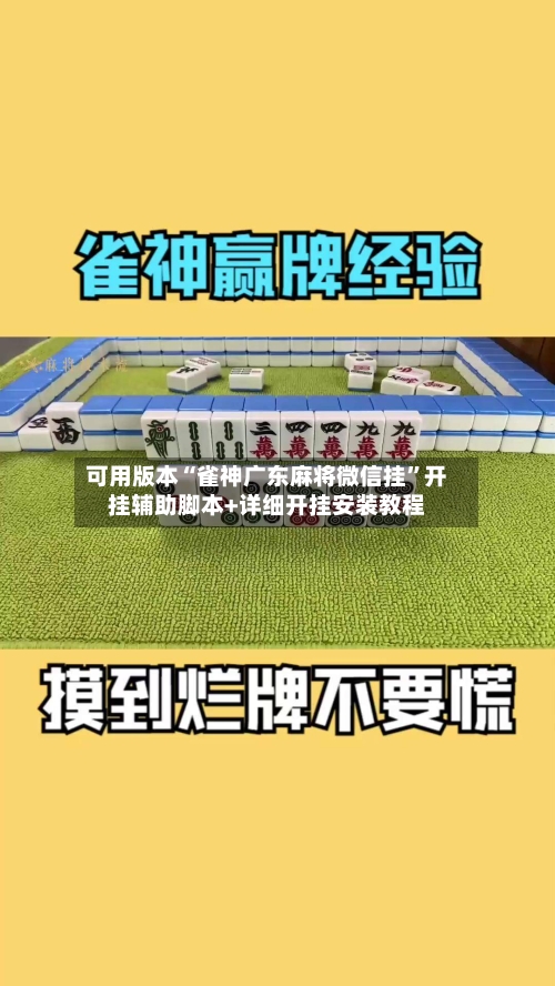 可用版本“雀神广东麻将微信挂”开挂辅助脚本+详细开挂安装教程-第1张图片