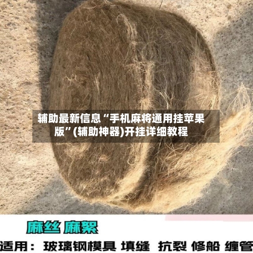 辅助最新信息“手机麻将通用挂苹果版”(辅助神器)开挂详细教程-第1张图片
