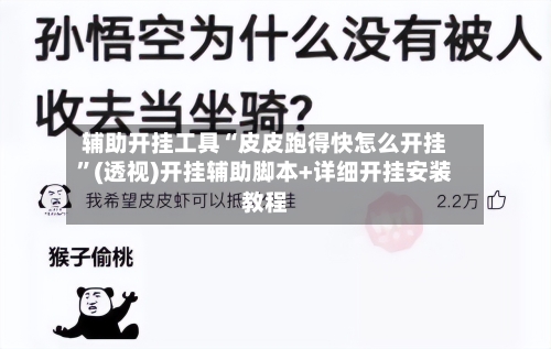 辅助开挂工具“皮皮跑得快怎么开挂”(透视)开挂辅助脚本+详细开挂安装教程-第1张图片
