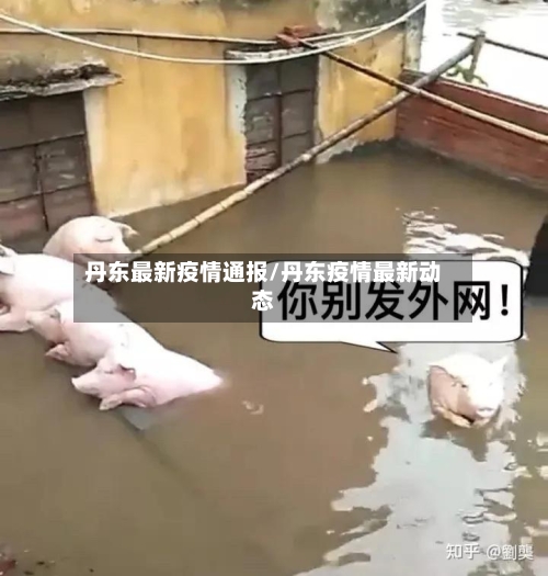 丹东最新疫情通报/丹东疫情最新动态-第2张图片