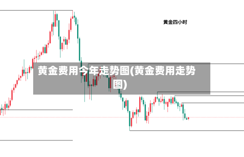 黄金费用今年走势图(黄金费用走势图)-第1张图片