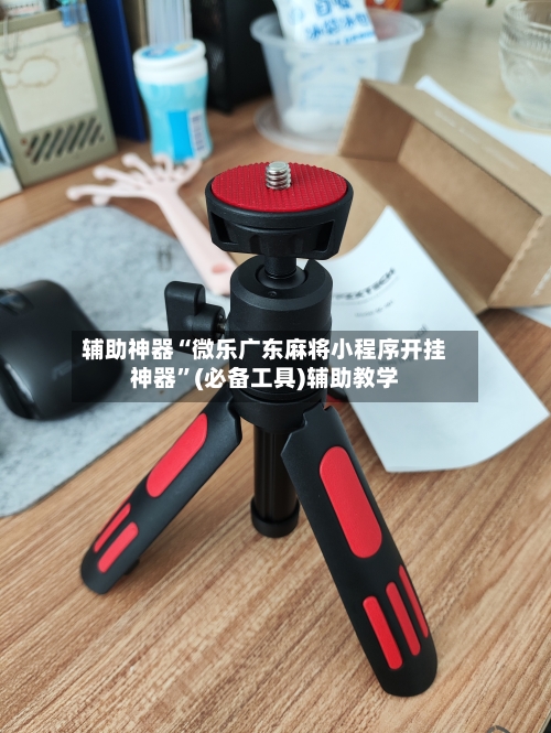 辅助神器“微乐广东麻将小程序开挂神器”(必备工具)辅助教学-第3张图片