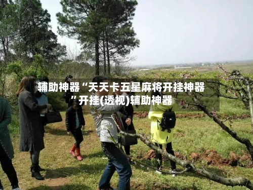 辅助神器“天天卡五星麻将开挂神器	”开挂(透视)辅助神器-第1张图片