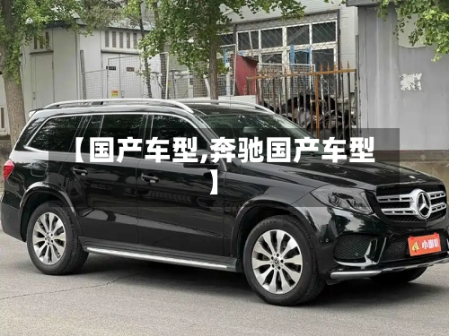 【国产车型,奔驰国产车型】-第3张图片