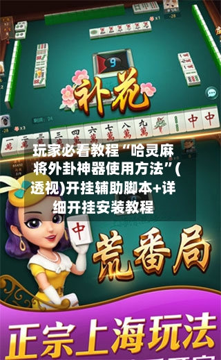 玩家必看教程“哈灵麻将外卦神器使用方法	”(透视)开挂辅助脚本+详细开挂安装教程-第2张图片