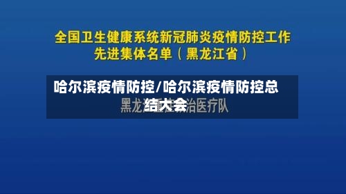 哈尔滨疫情防控/哈尔滨疫情防控总结大会-第3张图片