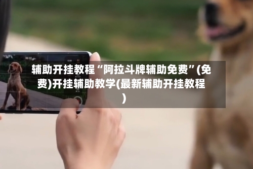 辅助开挂教程“阿拉斗牌辅助免费”(免费)开挂辅助教学(最新辅助开挂教程)-第1张图片
