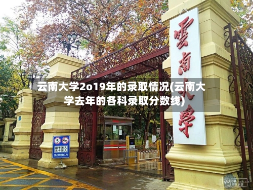云南大学2o19年的录取情况(云南大学去年的各科录取分数线)