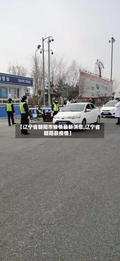【辽宁省朝阳市疫情最新消息,辽宁省朝阳县疫情】-第2张图片