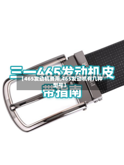 【465发动机费用,465发动机有几种型号】-第3张图片