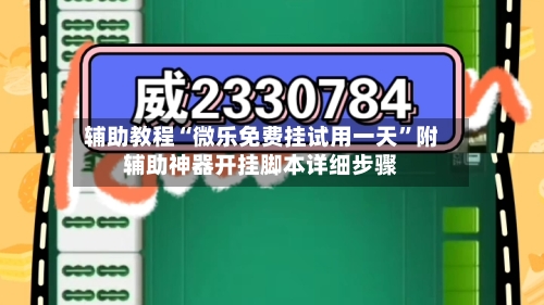 辅助教程“微乐免费挂试用一天”附辅助神器开挂脚本详细步骤-第2张图片