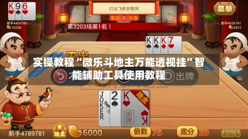 实操教程“微乐斗地主万能透视挂”智能辅助工具使用教程-第2张图片