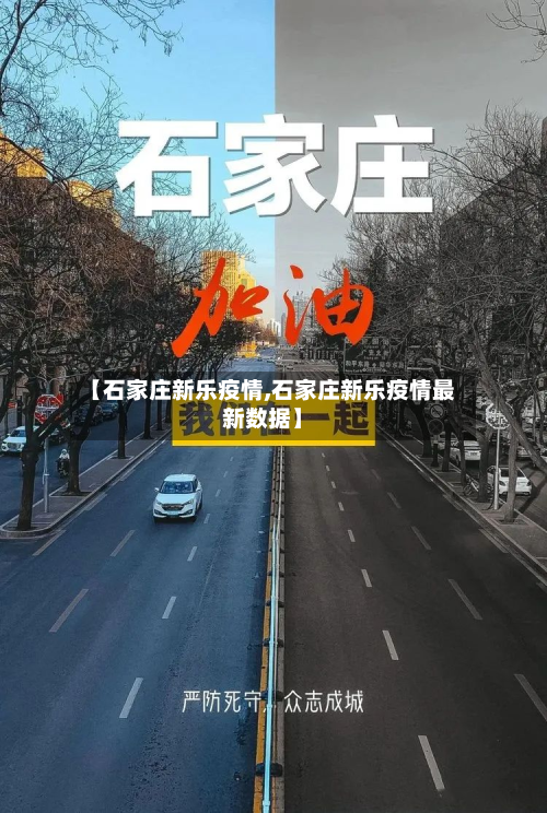 【石家庄新乐疫情,石家庄新乐疫情最新数据】-第3张图片