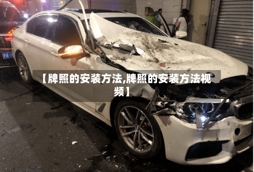 【牌照的安装方法,牌照的安装方法视频】-第2张图片