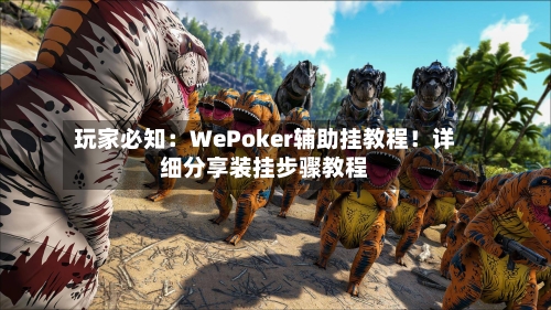 玩家必知:WePoker辅助挂教程!详细分享装挂步骤教程-第3张图片