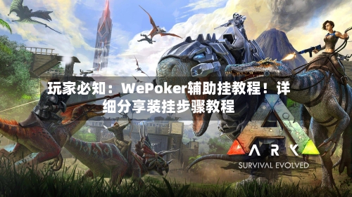 玩家必知:WePoker辅助挂教程!详细分享装挂步骤教程-第2张图片