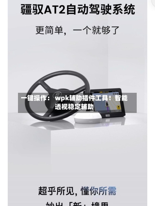 一键操作: wpk辅助插件工具!智能透视稳定辅助-第3张图片