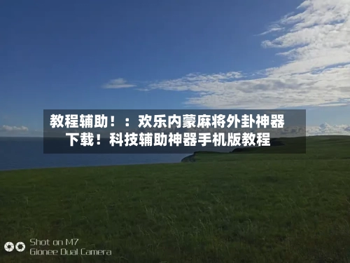 教程辅助!:欢乐内蒙麻将外卦神器下载!科技辅助神器手机版教程-第2张图片