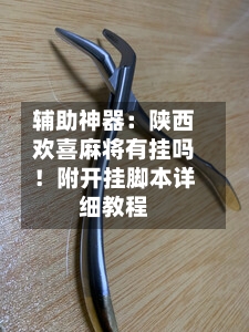 辅助神器：陕西欢喜麻将有挂吗！附开挂脚本详细教程-第3张图片
