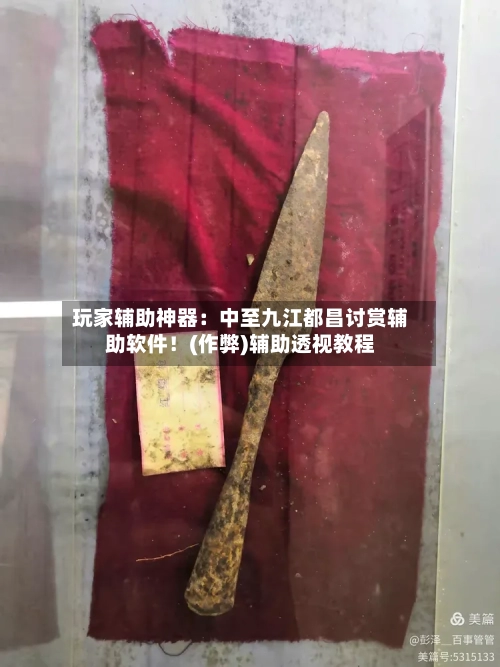 玩家辅助神器:中至九江都昌讨赏辅助软件!(作弊)辅助透视教程-第1张图片