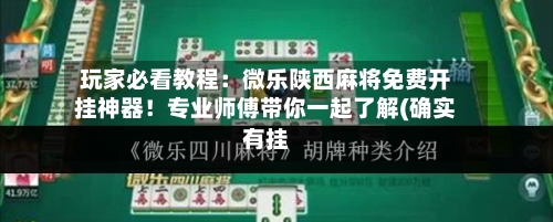 玩家必看教程：微乐陕西麻将免费开挂神器！专业师傅带你一起了解(确实有挂-第2张图片