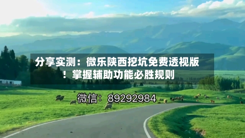 分享实测:微乐陕西挖坑免费透视版!掌握辅助功能必胜规则-第2张图片