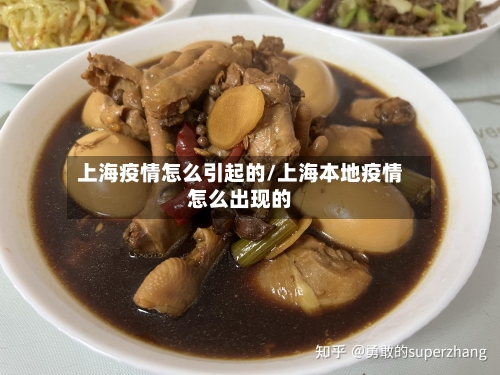 上海疫情怎么引起的/上海本地疫情怎么出现的-第3张图片