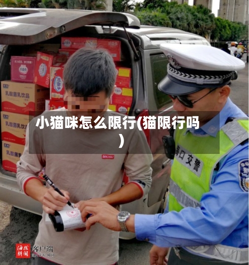 小猫咪怎么限行(猫限行吗)-第1张图片