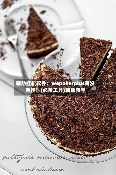 辅助挂机软件:wepokerplus有没有挂!(必备工具)辅助教学-第1张图片