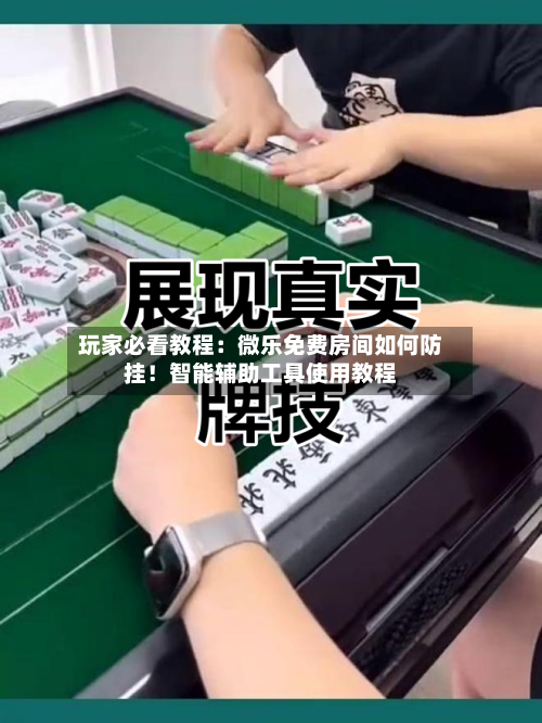 玩家必看教程:微乐免费房间如何防挂!智能辅助工具使用教程-第1张图片