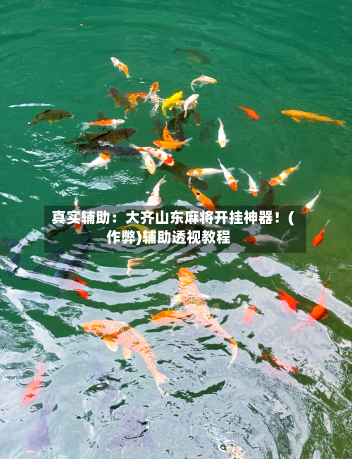真实辅助:大齐山东麻将开挂神器!(作弊)辅助透视教程-第2张图片