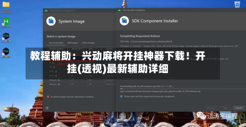 教程辅助:兴动麻将开挂神器下载!开挂(透视)最新辅助详细-第2张图片