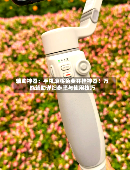 辅助神器:手机麻将免费开挂神器!万能辅助详细步骤与使用技巧-第2张图片