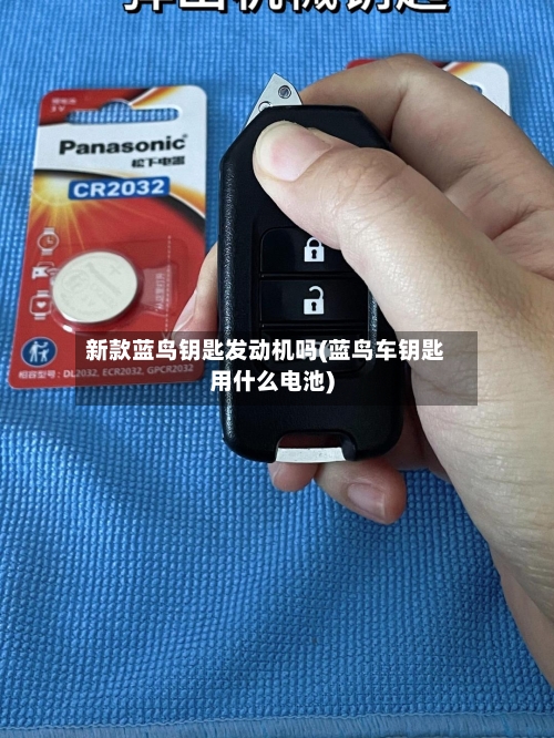 新款蓝鸟钥匙发动机吗(蓝鸟车钥匙用什么电池)-第2张图片